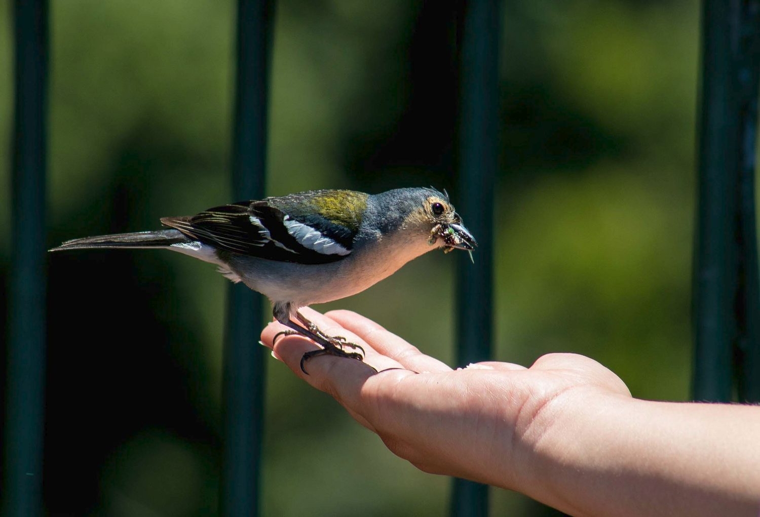 Klicken um die Schaltflächen zu zeigen oder zu verbergen